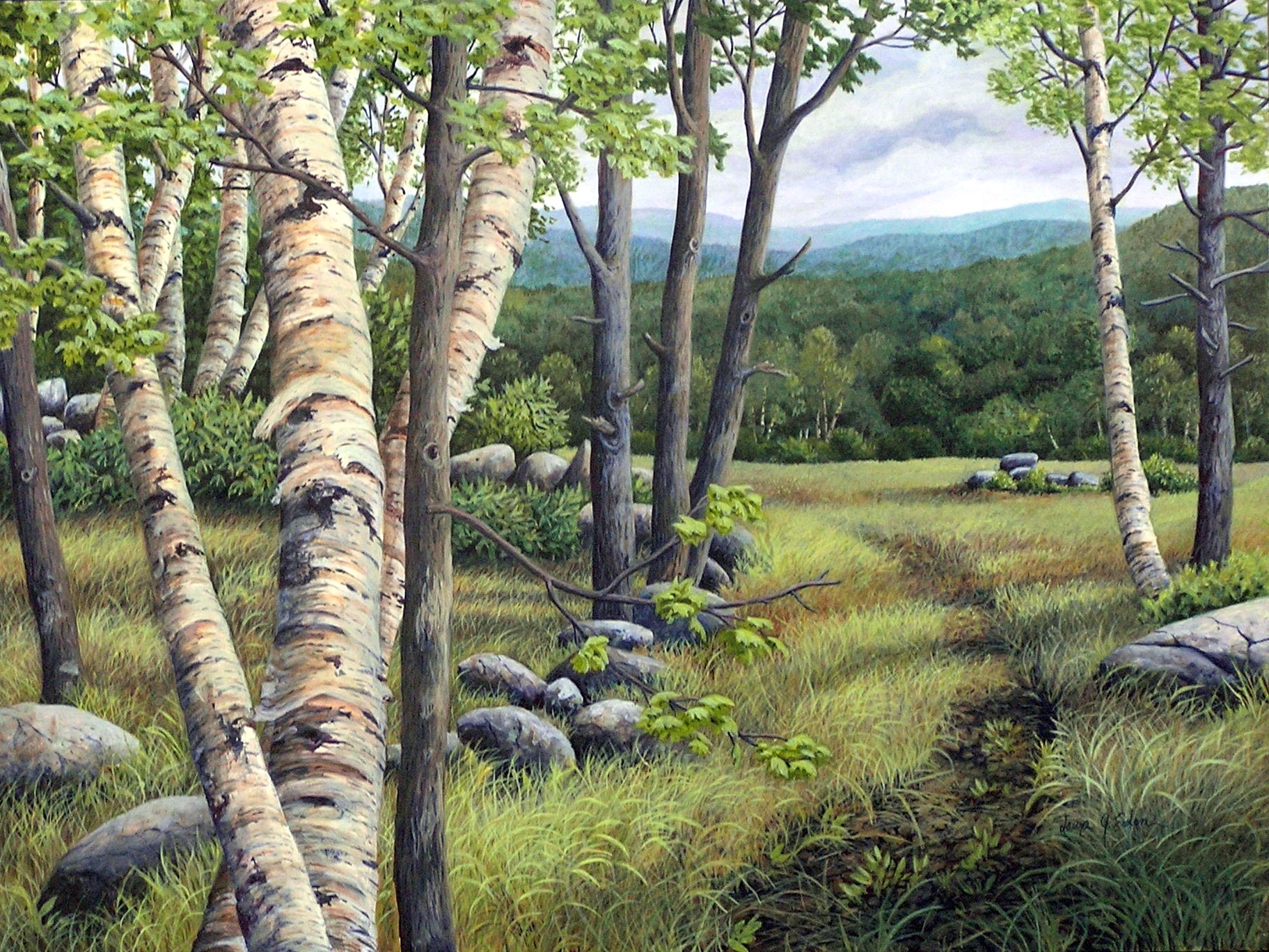 Meadow Path