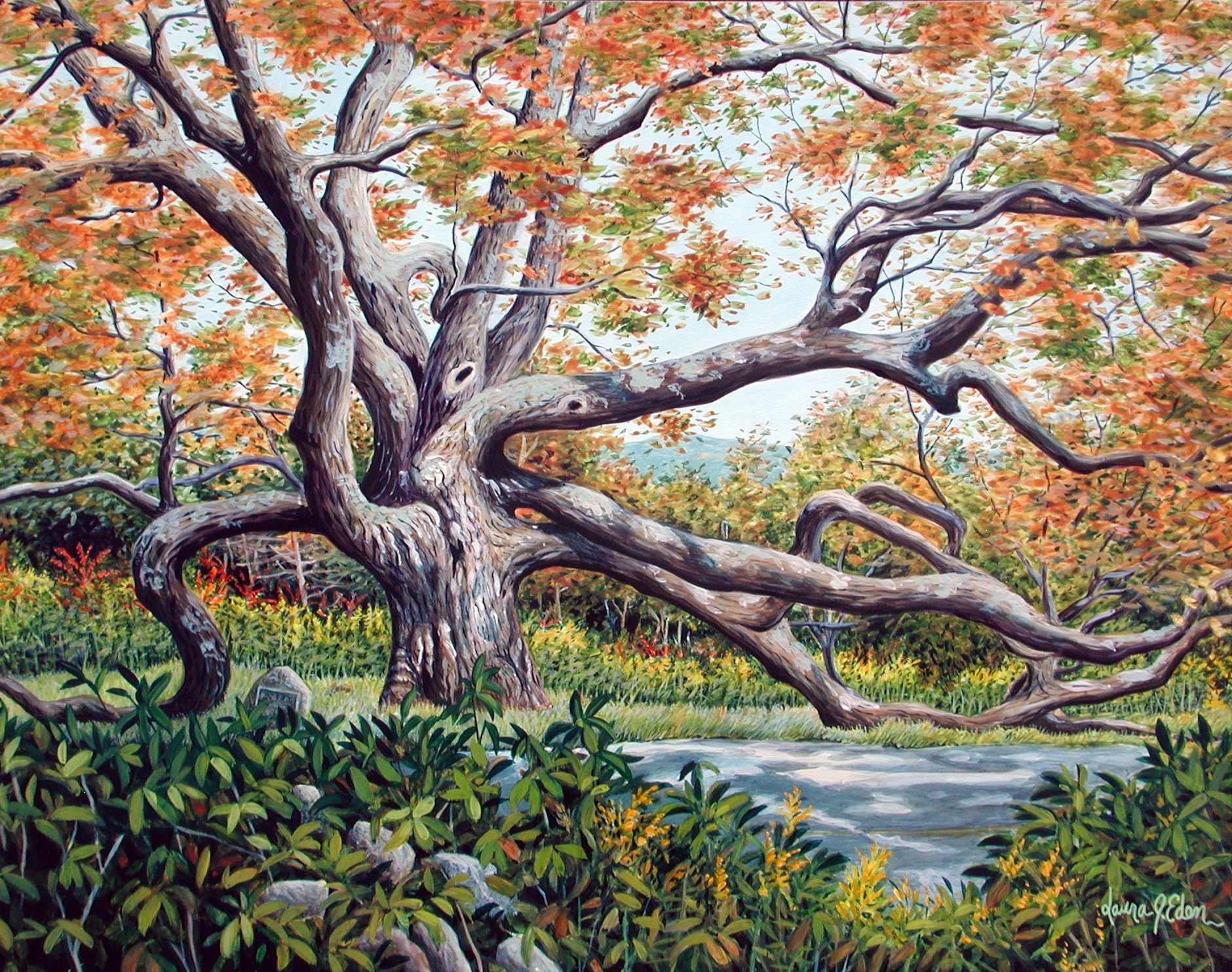 Autumn's Grace