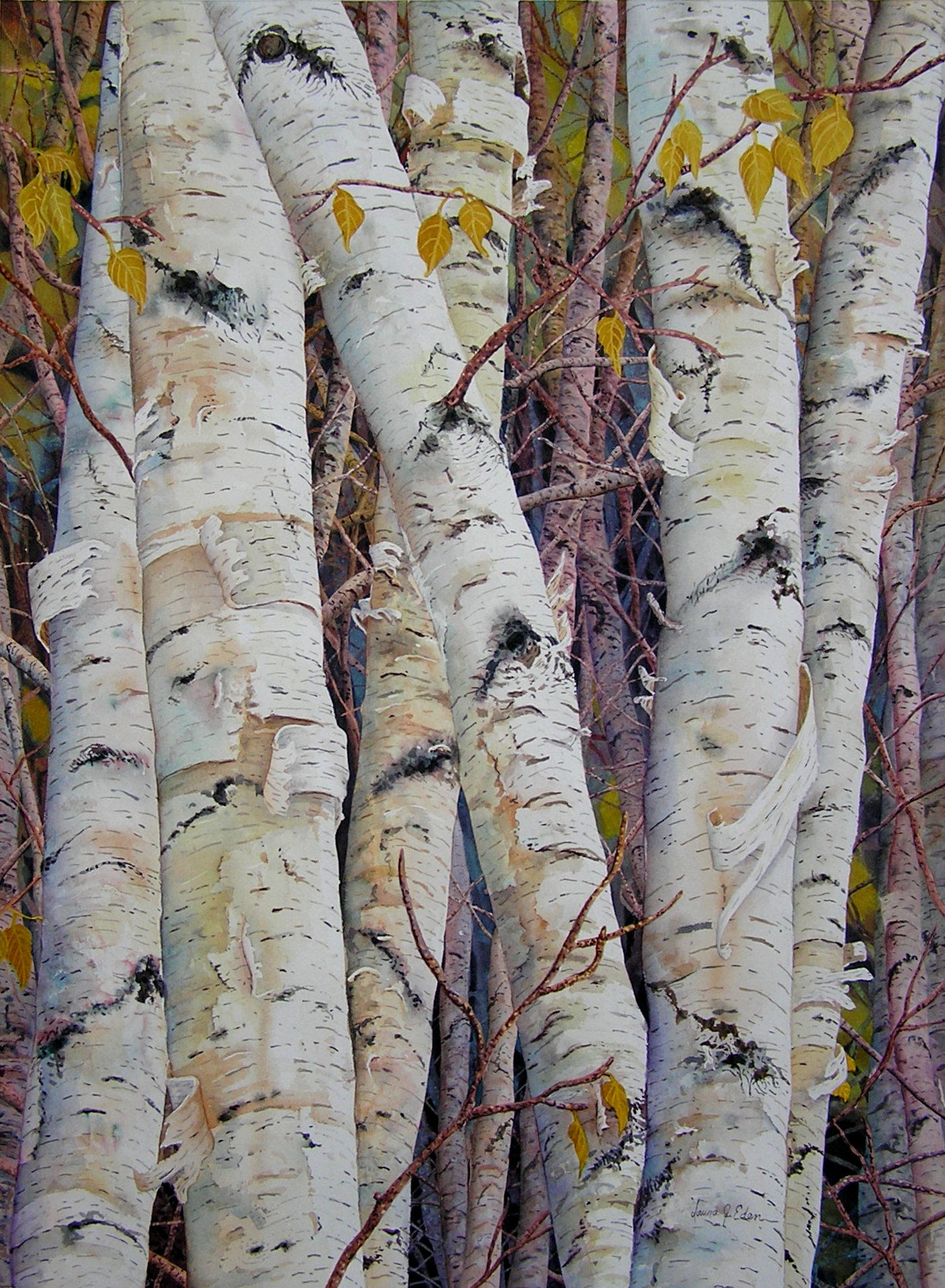 Golden Birch