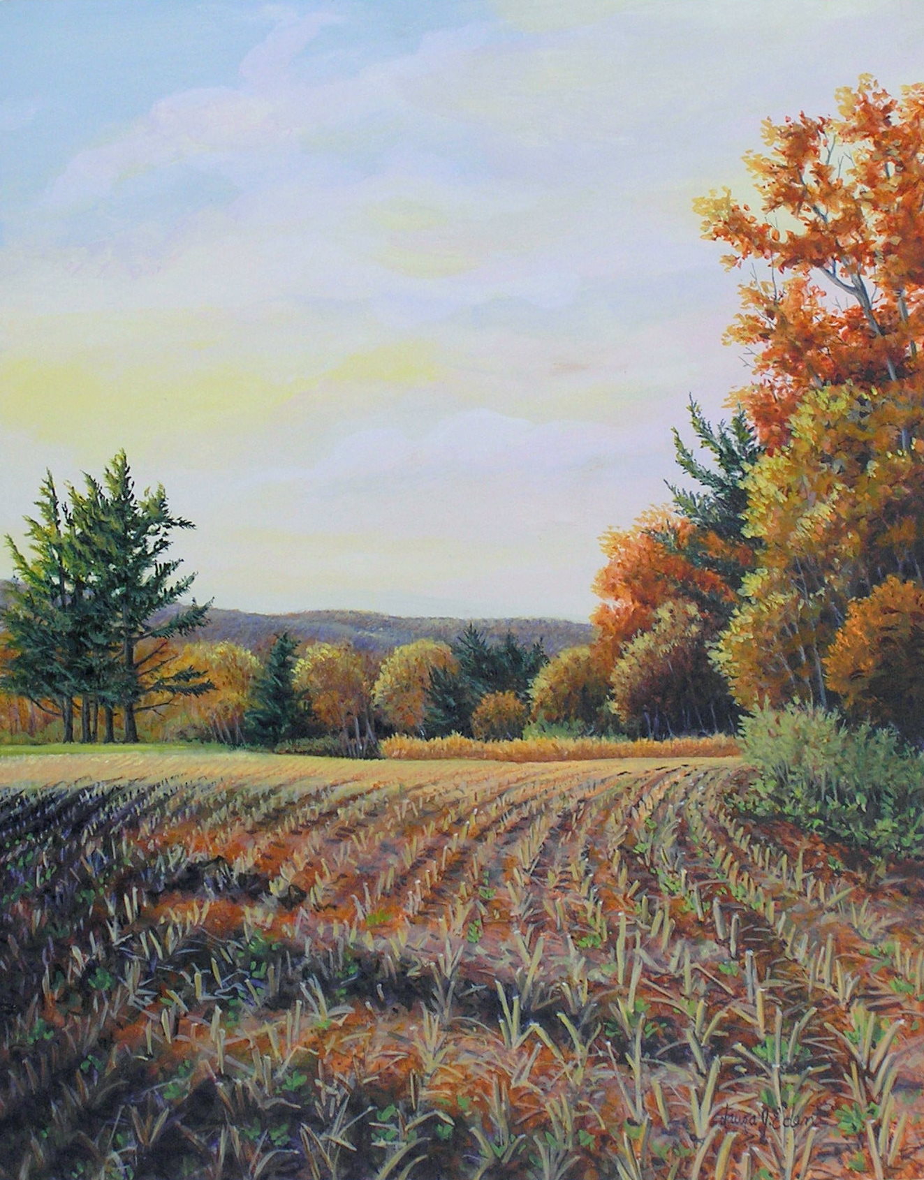 Afternoon Autumn Light