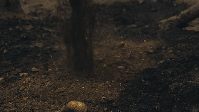 Video Screen Grab 2.png