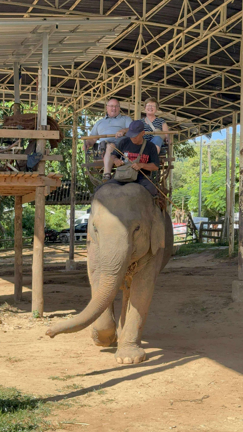 Elephant ride in Northern Thailand
