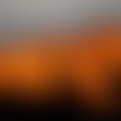 Elephant in the Room