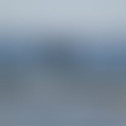 Do you see what I see?