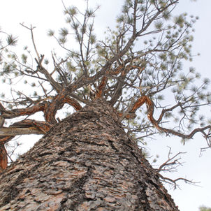 Isn't it Crazy How Time Flies