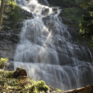 FOMO#Fear of Missing Out