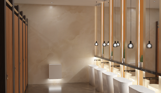 Hospitality Desing_Female Toilet.png