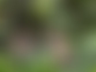 Building a strong social network?