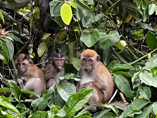 Building a strong social network?