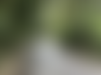 What's around the corner?