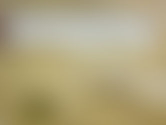 #FortuneCookieFriday