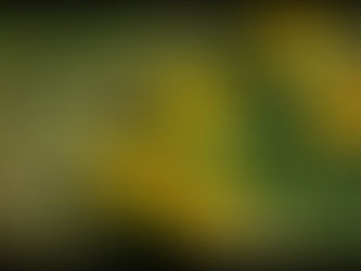 The best things I learned in training: Positive Defining Moments (PDMs)