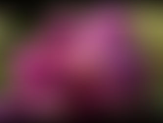 On Leadership and Being