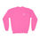 Thumbnail: Chameleon 1.3.2 | Youth Embroidered Ecovera 'V' Sweatshirt