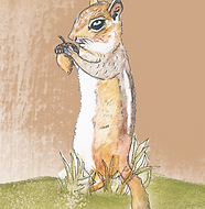 10.png