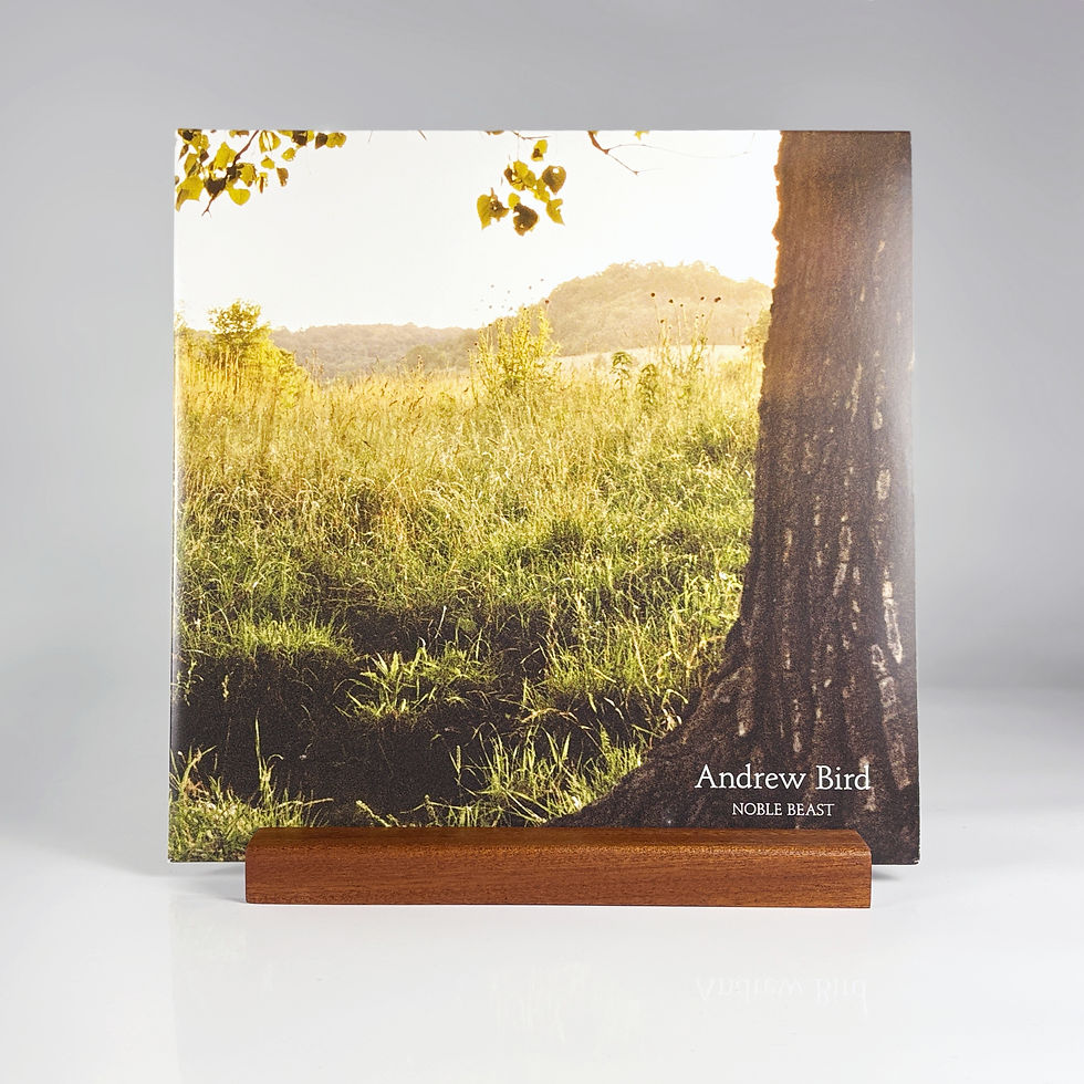 Sapele 12" Now Playing Record Stand