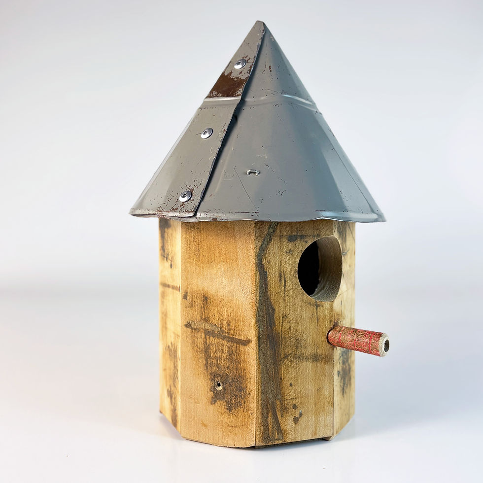 Thumbnail: Holt House Birdhouse
