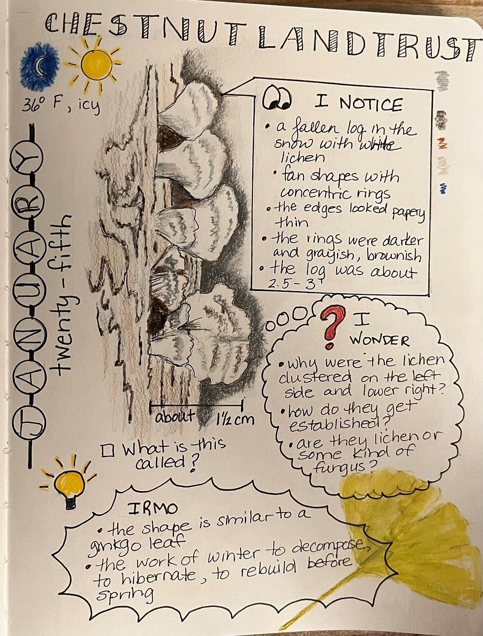 What is Nature Journaling?