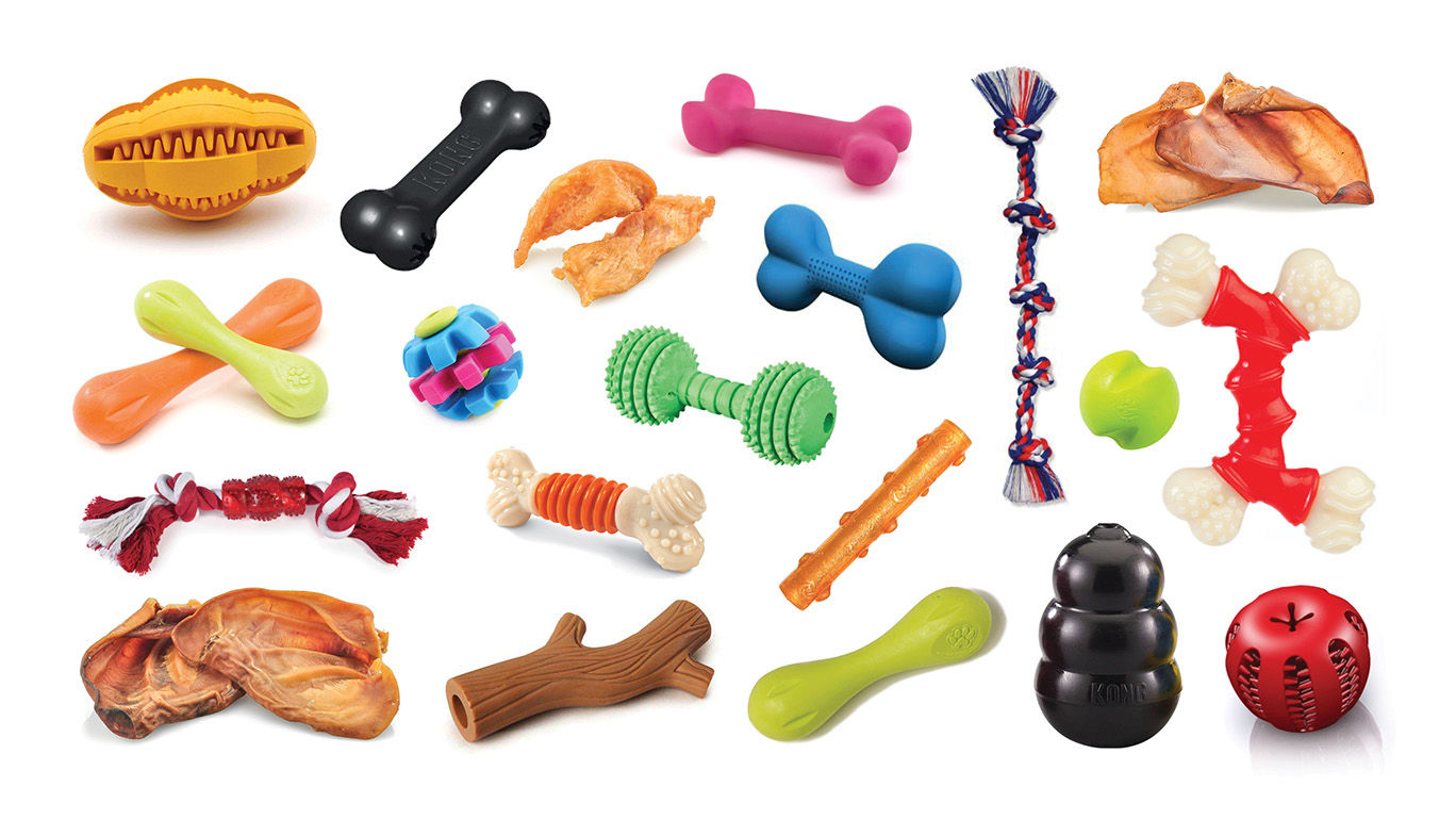 Dog Toys