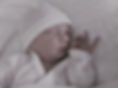 PHOTO 2.jpg