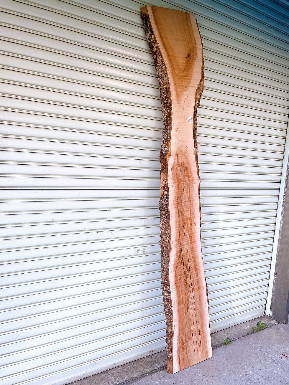 サムネイル： 天然桜 一枚板 カウンターテーブル 棚 木材 天板 約226cm