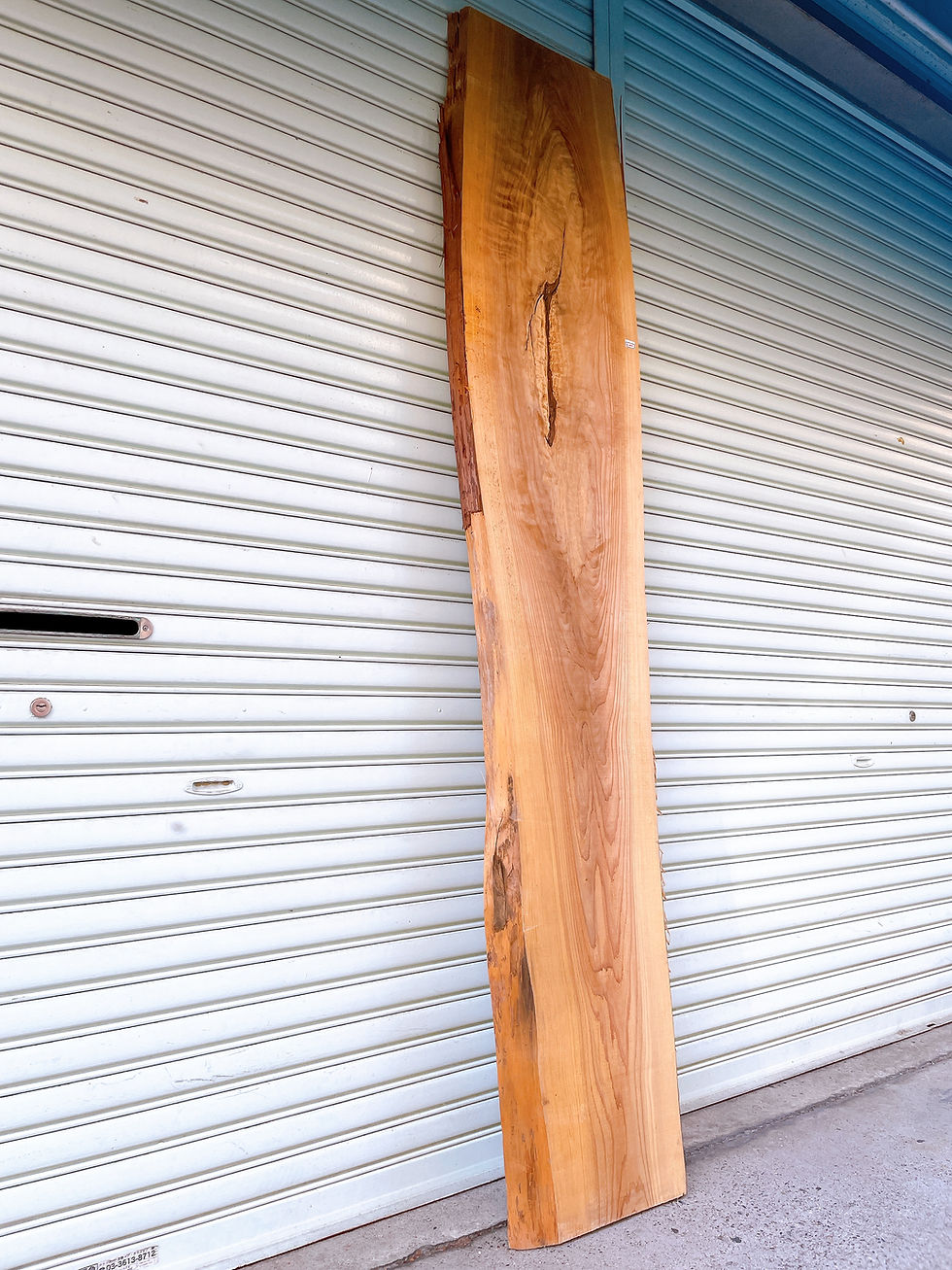 サムネイル： 天然杉 一枚板 カウンターテーブル 棚 木材 天板 約230cm