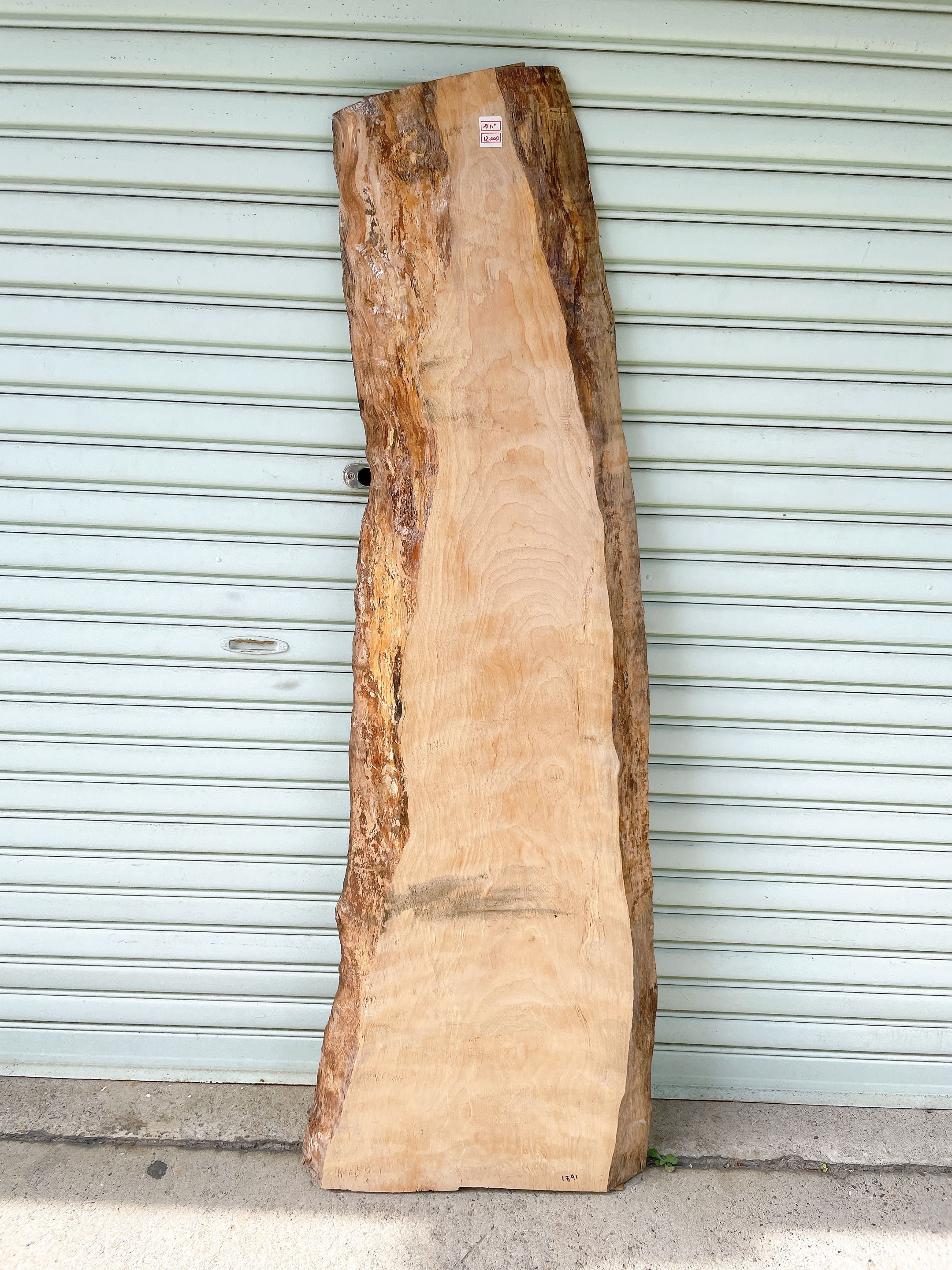 天然マキ　ベンチ/天板/ローテーブル/看板材