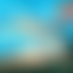 :: BHS :: Bloody Howl Store Dream Catcher Tattoo