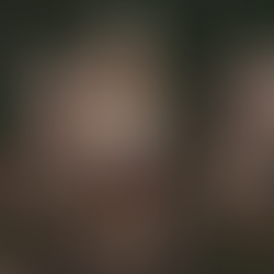 ::BHS:: Bloody Howl Store Fire Skull 