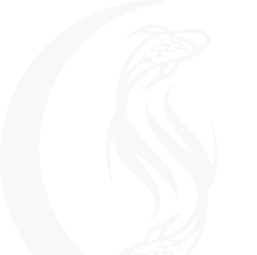 ASC-BG-graphic_1.png