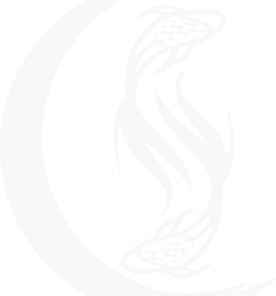 ASC - Koi Texture