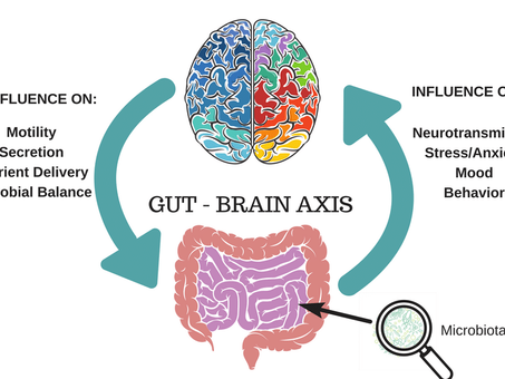 Is the Gut Connected to the Brain? 