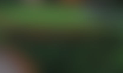 Choosing the Best Garden Edging Material for Australian Gardens