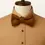 Thumbnail: Peacock Aureum — Pre-tied Como Silk Bow Tie