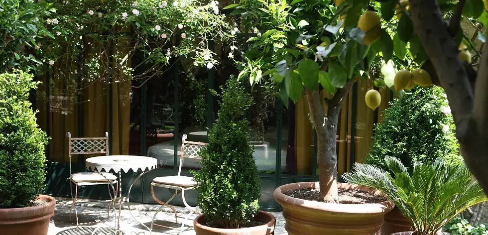 jardins-secrets-nimes-garden-1789px-862px-RGB-03.webp