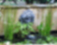 Fountain