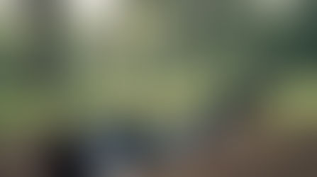 Wiens verantwoordelijkheid is de aantrekkelijkheid van de werkomgeving?