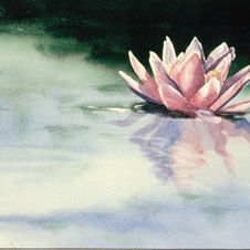 Water Lily painting by Ann L. Adamek