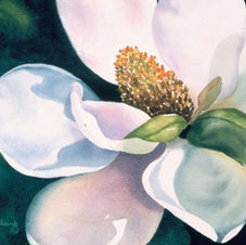 Magnolia painting by Ann L. Adamek