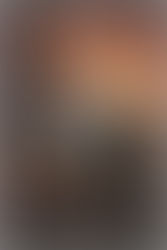 LORRAINE CAREY, OUR AMAZING TEAM MEMBER AND AUTHOR, IS TODAY SHARING A CHAPTER FROM BOOK 2 OF HER 'WOMEN OF THE WILLOW WOOD' TRILOGY - 'ON BORROWED TIME'