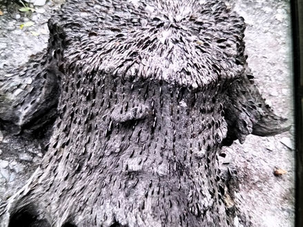 INTRODUCING TODAY'S GUEST AUTHOR, JULES OLIVER WILKINSON, WHO IS SHARING HER SHORT STORY 'REPERCUSSIONS' #RWRTeamBlog #ReadWriteRepeat