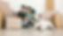 pricing-move-header.jpg