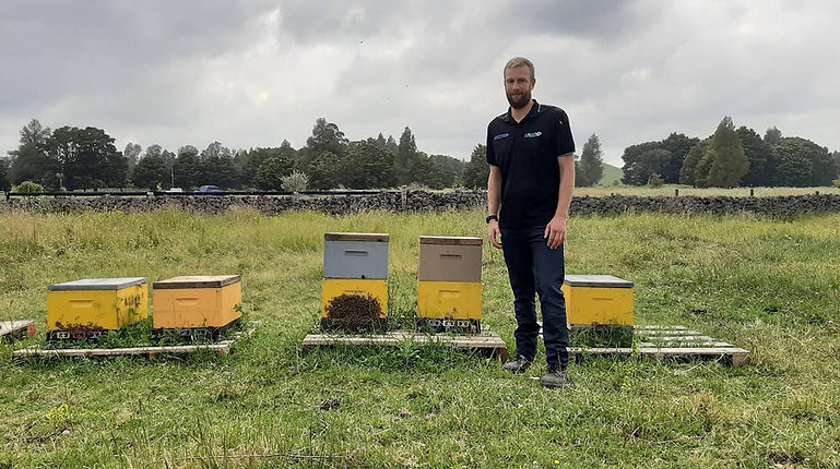 Autobee Northern Advocate.jpg