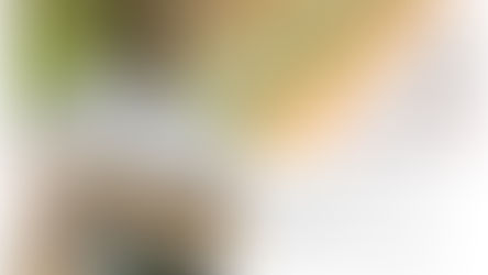 田上町｜オープンハウスのお知らせ