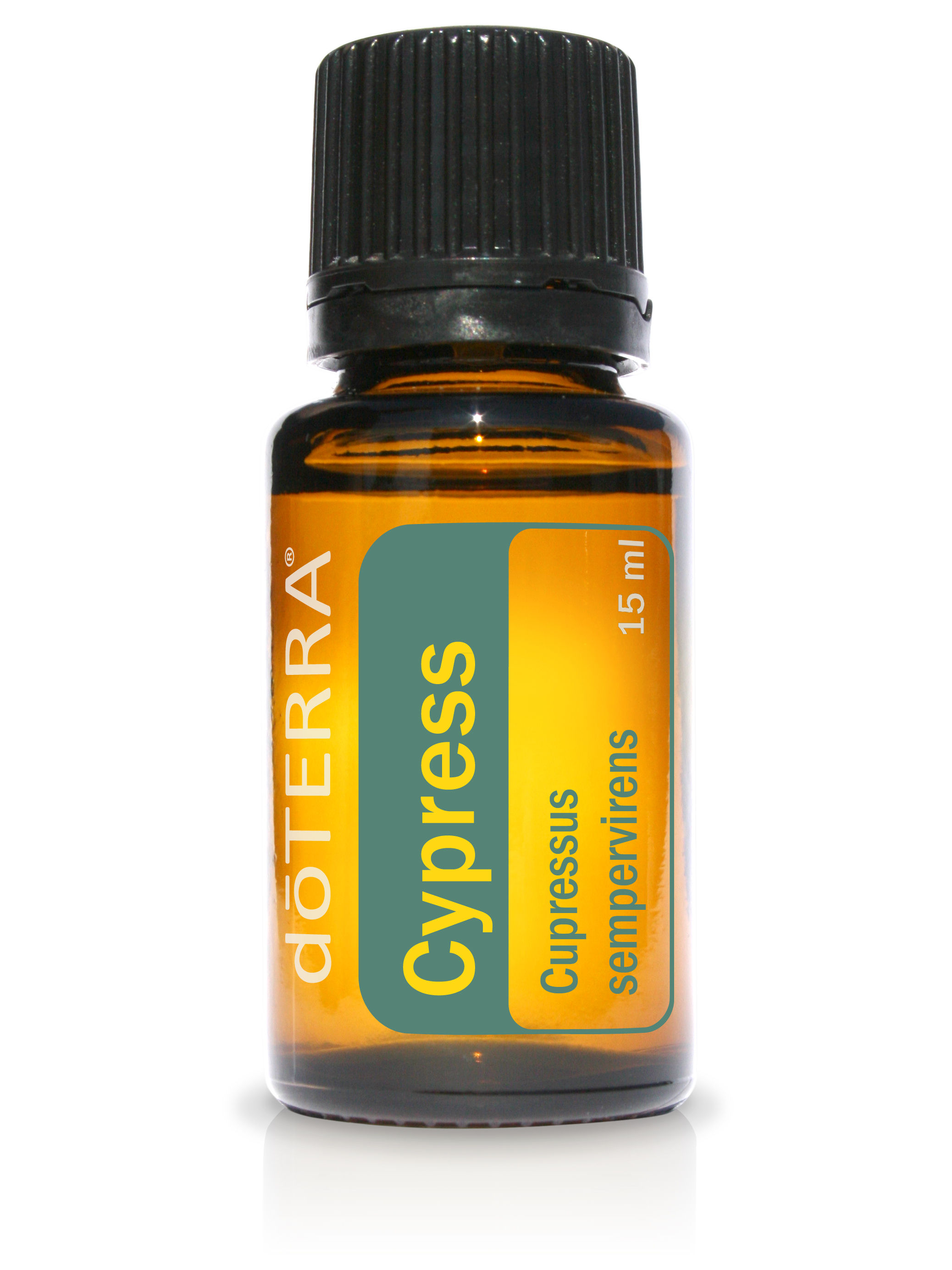 Cypress - 15ml