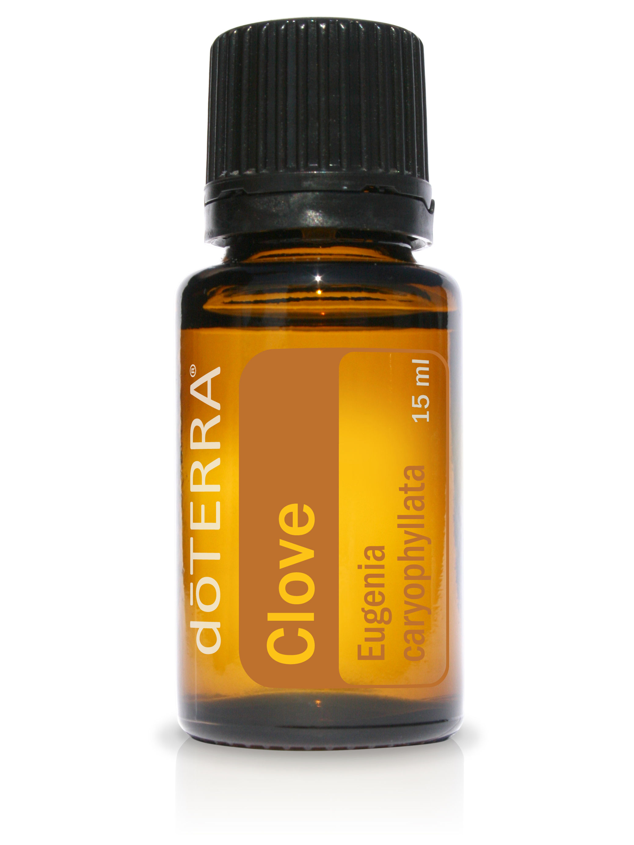 Clove - 15ml
