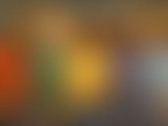 Why Begin With American Black History