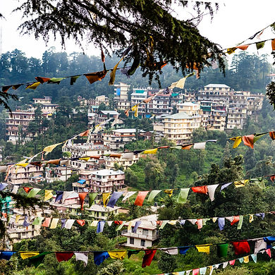 dharamsala-1134331246-cfdf3711c9f543ca9b758a25c3386b6e.jpeg