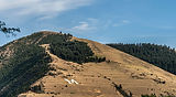 AdobeStock_373188416 (1).jpeg