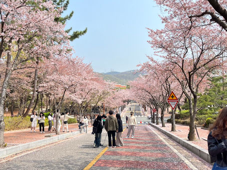 啟明大學（1）